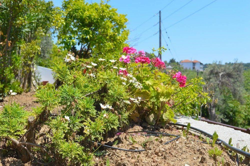 Villa Maraki Platanias  Bagian luar foto